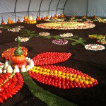 Saveurs et Soleil d'Automne à Sélestat
