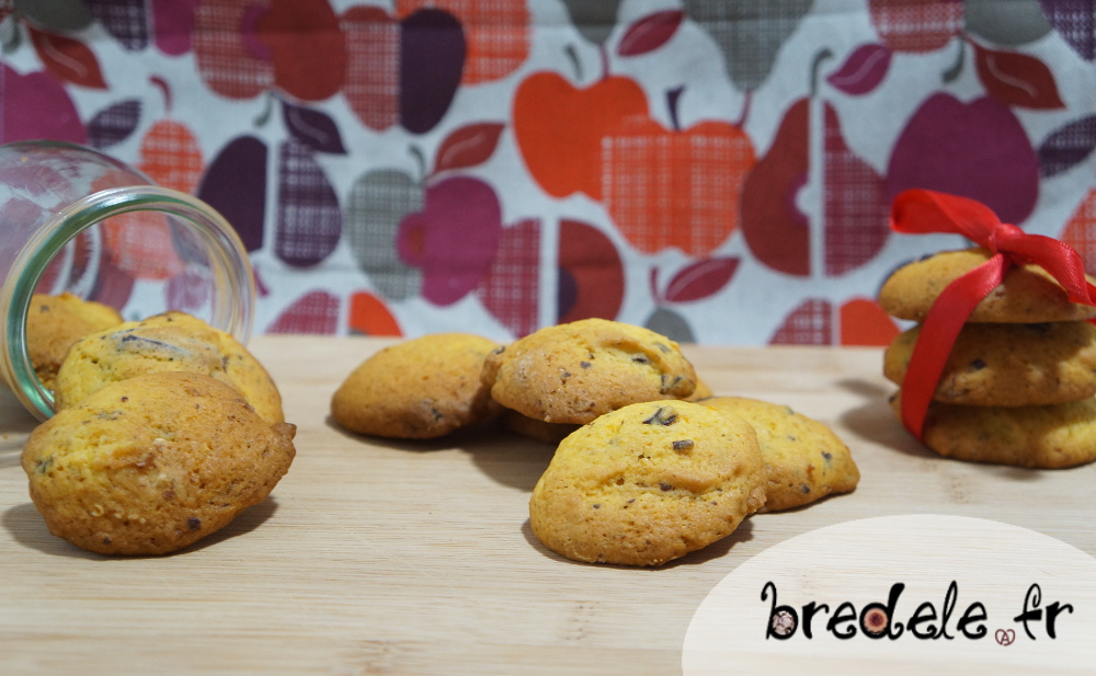 Biscuits Potimarron Chocolat