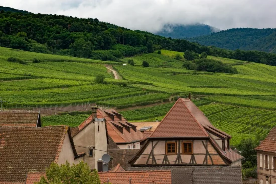 Sur la route des vins d'Alsace